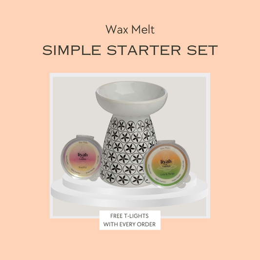 Wax Melt starter set